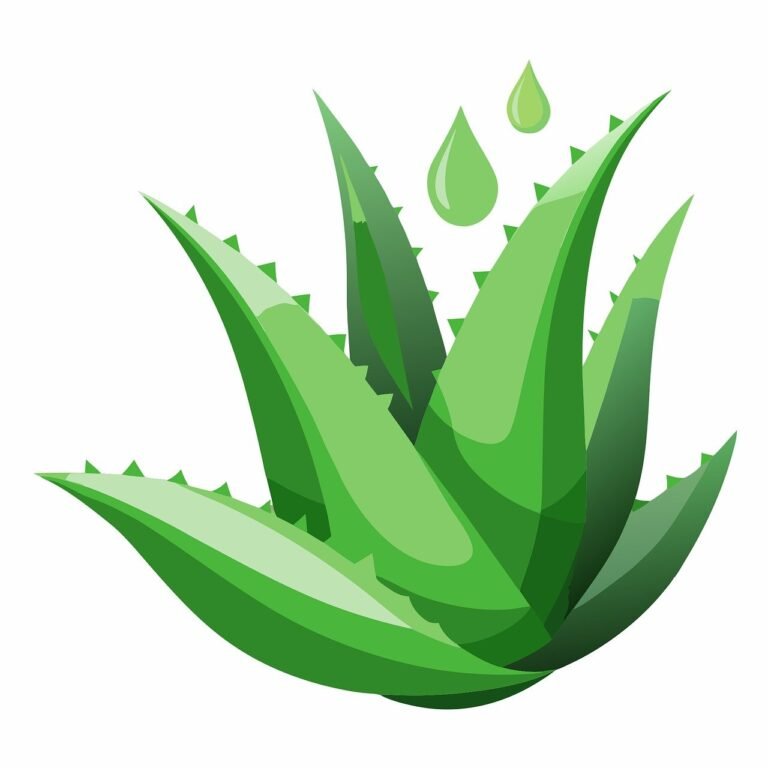 It's Amazing How Climate Change Is Reshaping Skincare Needs In Urban Areas