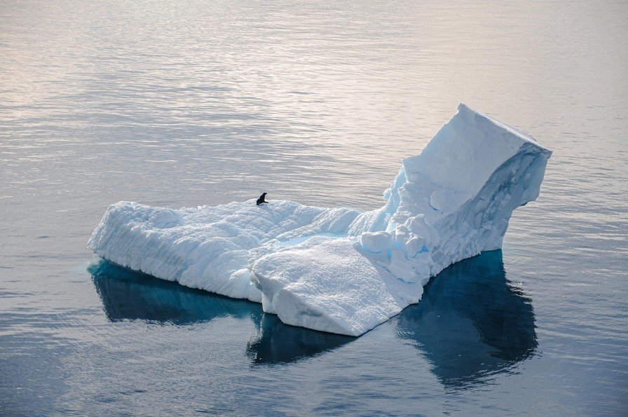 40 Part Of Cool Glaciers Are Affected By Climate Change 40 Part Of Cool Glaciers Are Affected By Climate Change