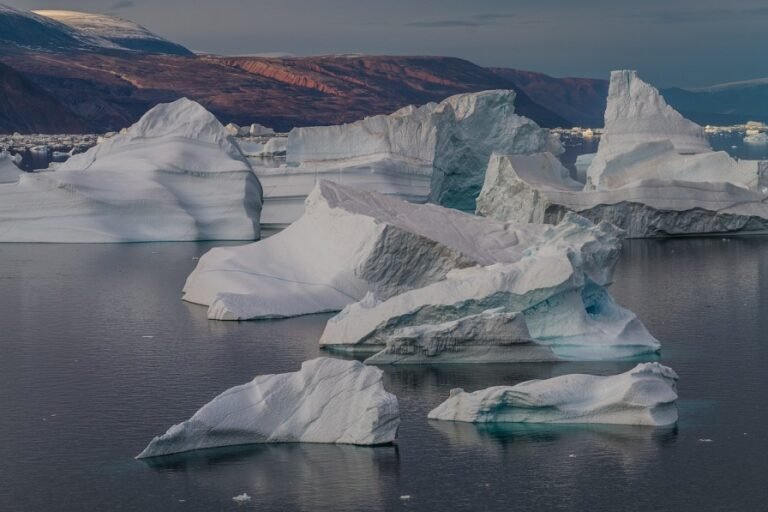 40 Part Of Cool Glaciers Are Affected By Climate Change