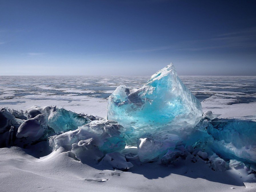 Conclusion On Penguins Action Are Reducing Climate Change In Antarctica
