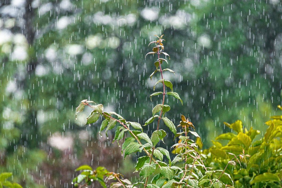 Real Reasons Why the Weather Is Changing Rapidly Right Now In India