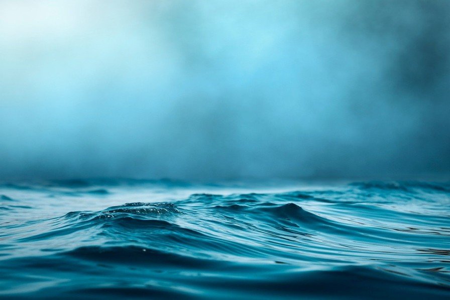 Conclusion On 99 Percent Of Earth's Amazing Seafloor Is Yet To Be Discovered