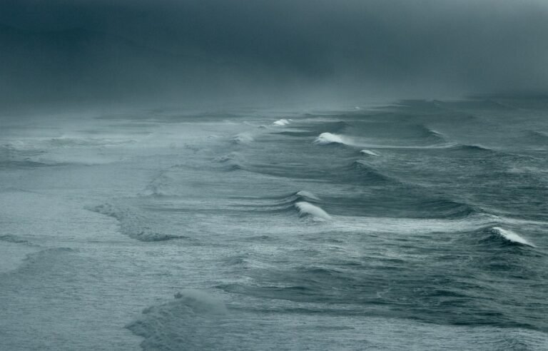 It's Relentless Why Oceans Are Getting Dark