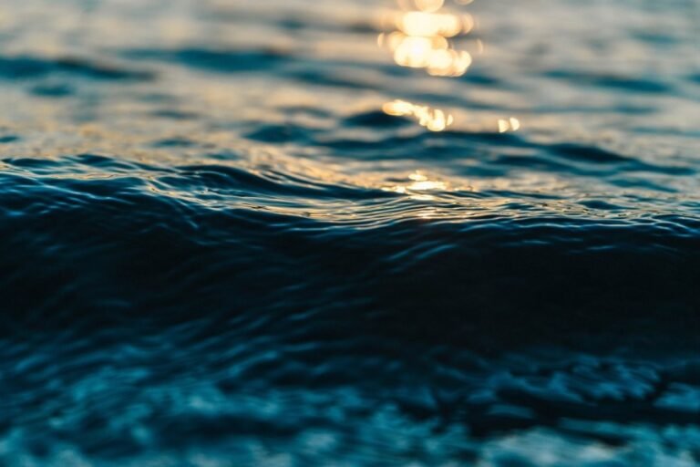 Protecting Coastal Waters And Reviving Our Oceans – Amazing News
