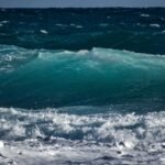 Protecting Coastal Waters And Reviving Our Oceans – Amazing News How Does Climate Change Affect Marine Ecosystems?