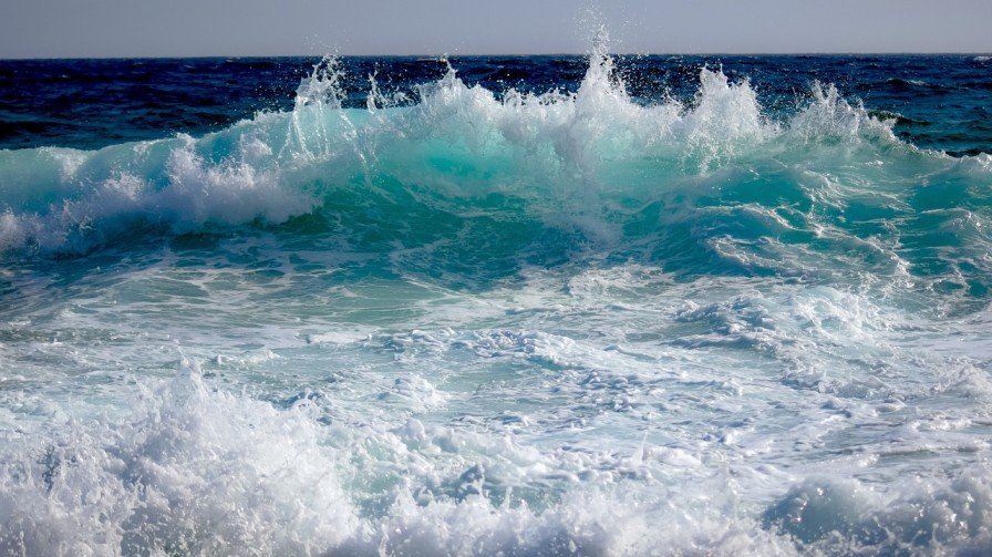 Protecting Coastal Waters And Reviving Our Oceans – Amazing News Protecting Coastal Waters And Reviving Our Oceans – Amazing News