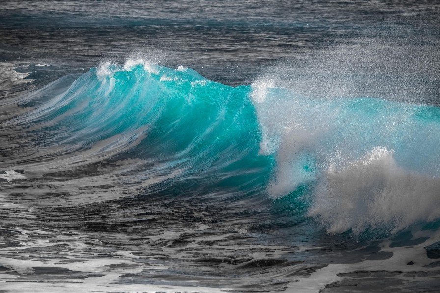 Protecting Coastal Waters And Reviving Our Oceans – Amazing News Protecting Coastal Waters And Reviving Our Oceans – Amazing News