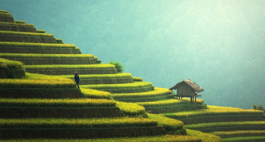 Types Of Sustainable Development