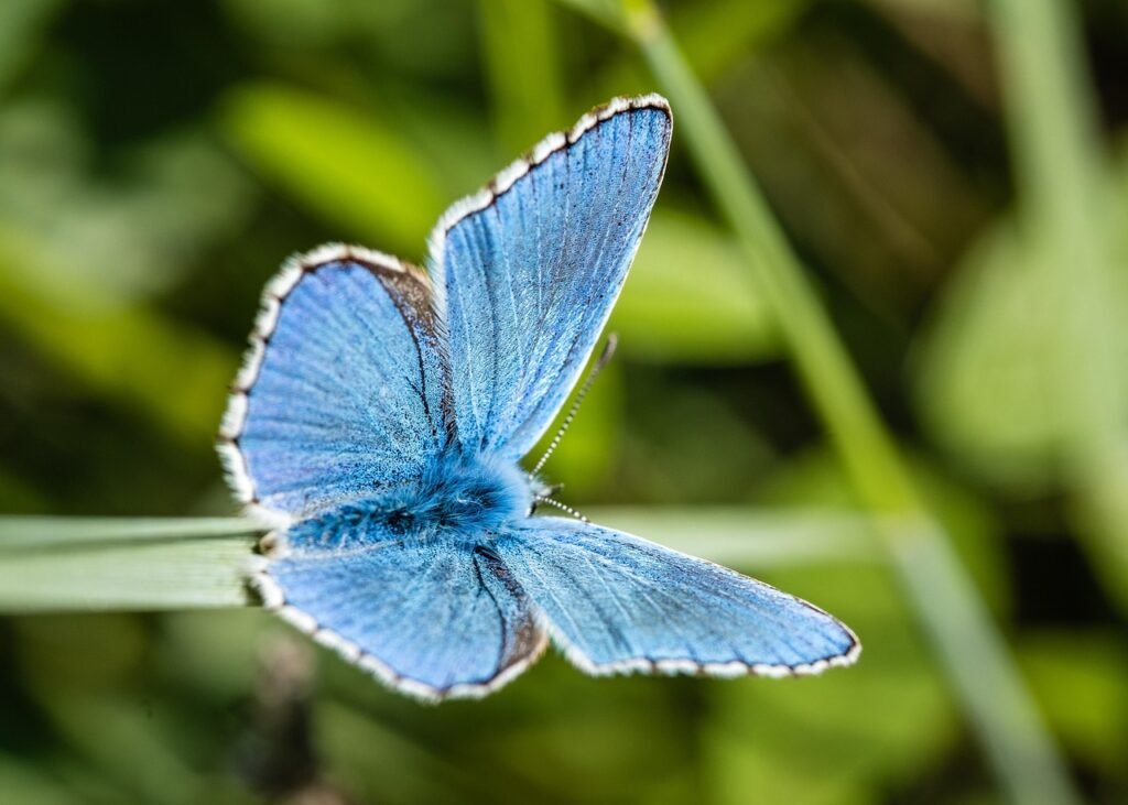 4. Take Care Of Our Biodiversity