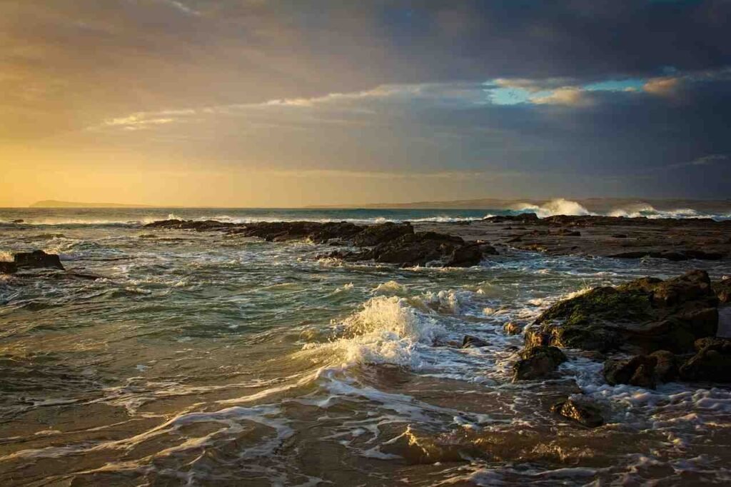 Impact Of Ocean Acidification