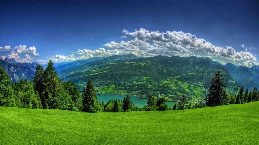 Top 10 Ways To Protect The Environment As An Individual Top 10 Ways To Protect The Environment As An Individual
