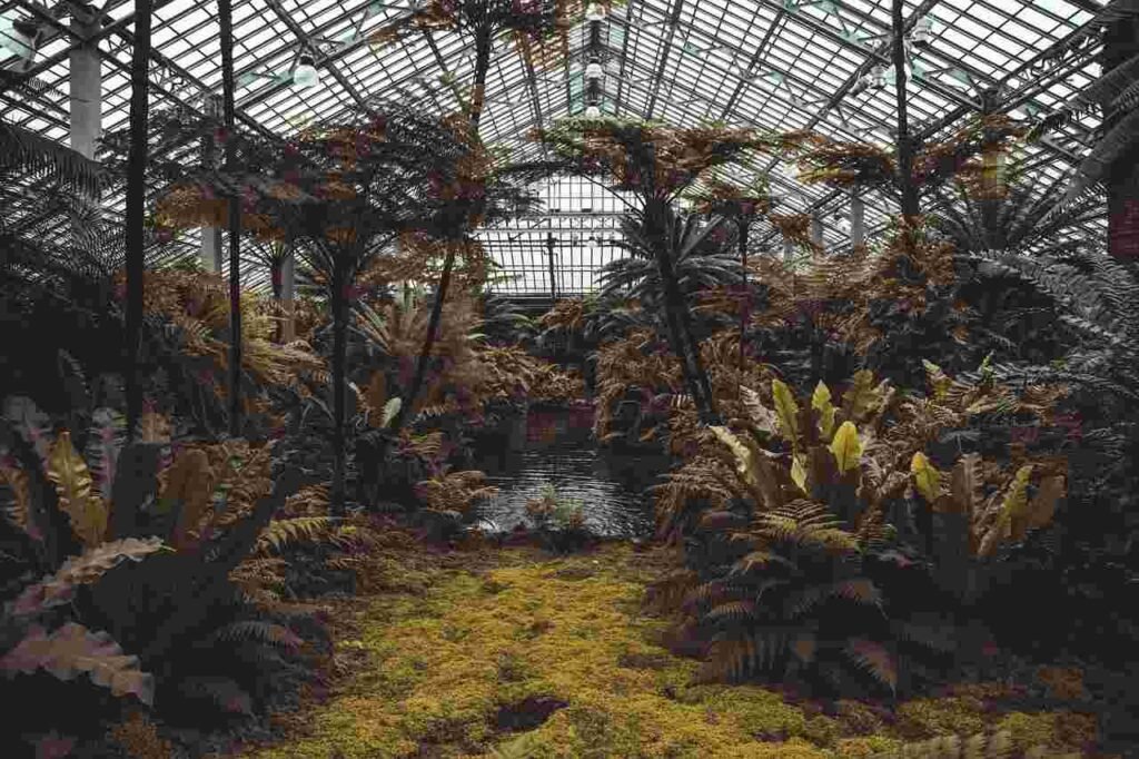 Is It True That This Dutch Farm Grows Super Food With No Soil And 0 Pesticides?