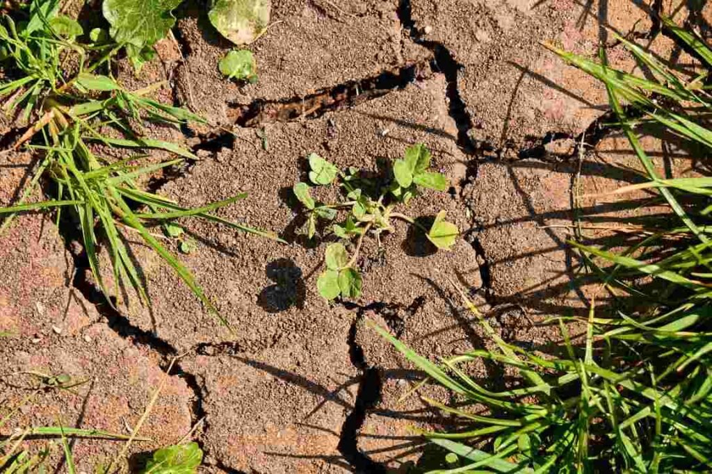 Climate Change - The Ultimate Perfect Guide Effects Of Climate Change