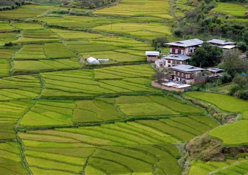 How Bhutan Is The Only Carbon Negative Country In The Amazing World? – How Have They Done It?