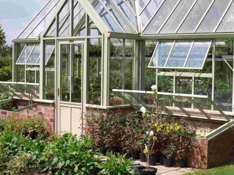 This Dutch Farm Grows Super Food With No Soil And 0 Pesticides
