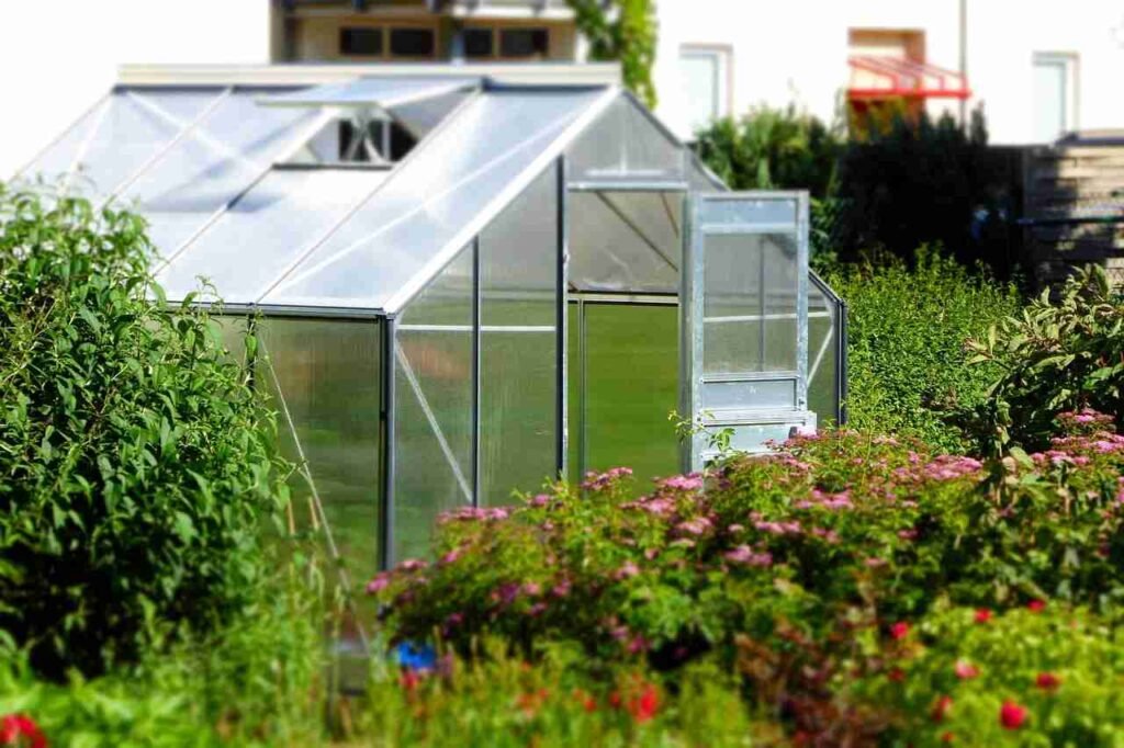 Conclusion On This Dutch Farm Grows Super Food With No Soil And 0 Pesticides