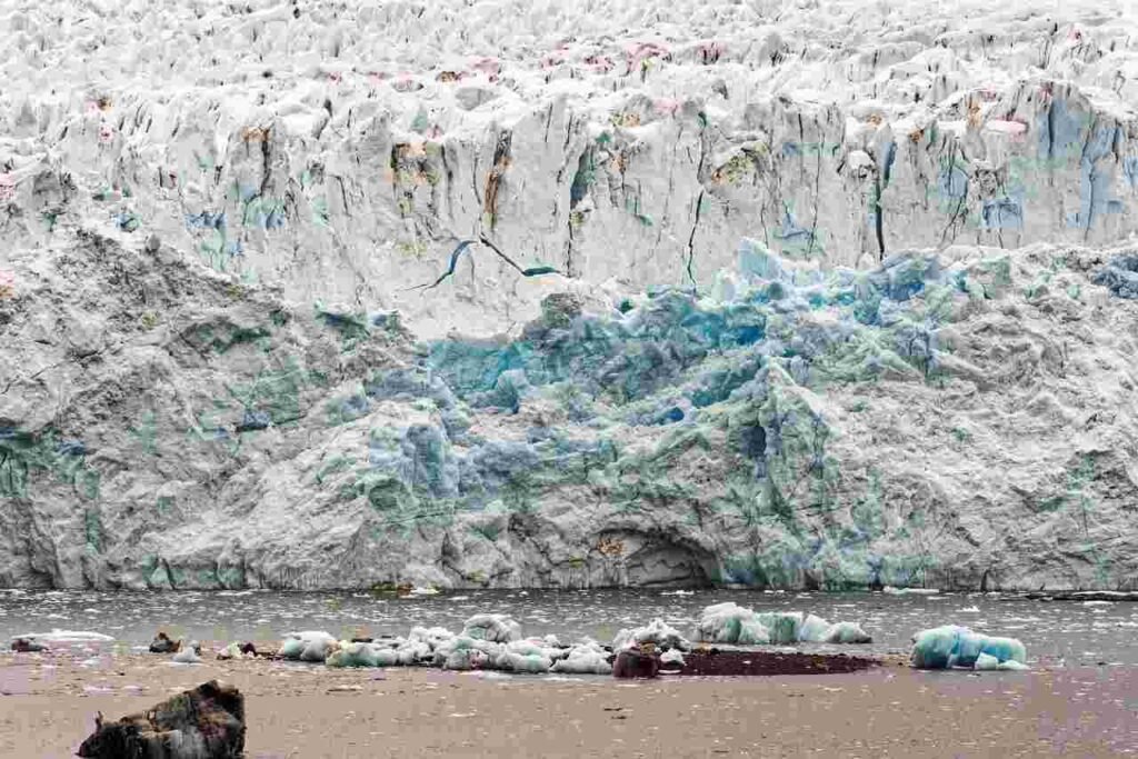 Climate Change - The Ultimate Perfect Guide Factors Affecting Climate Change