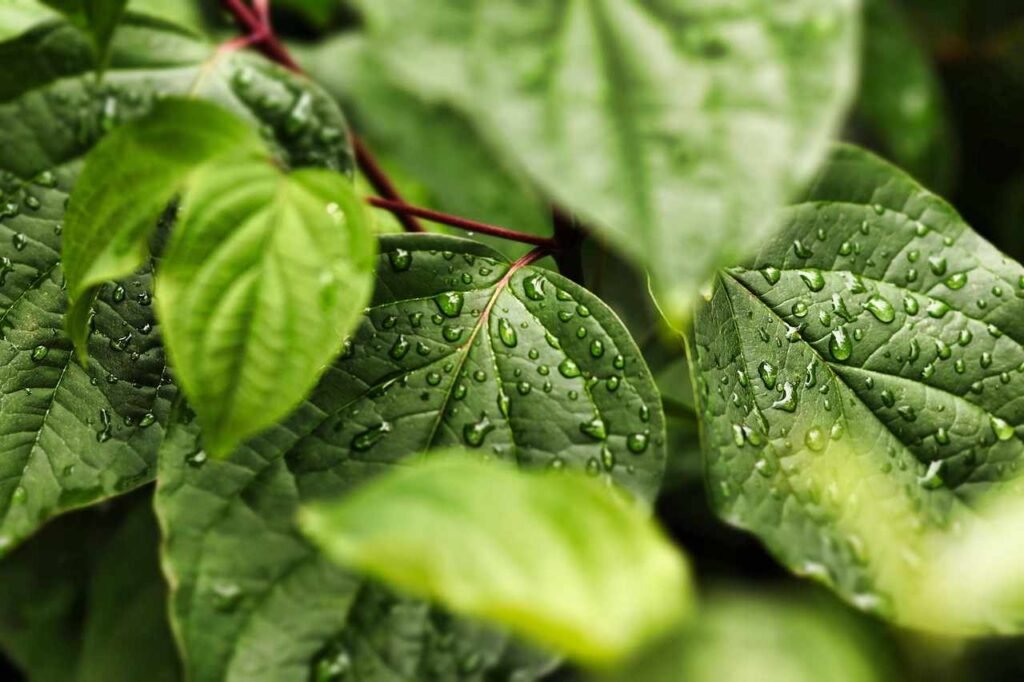 Climate Change - The Ultimate Perfect Guide Some Environment-Friendly Inventions
