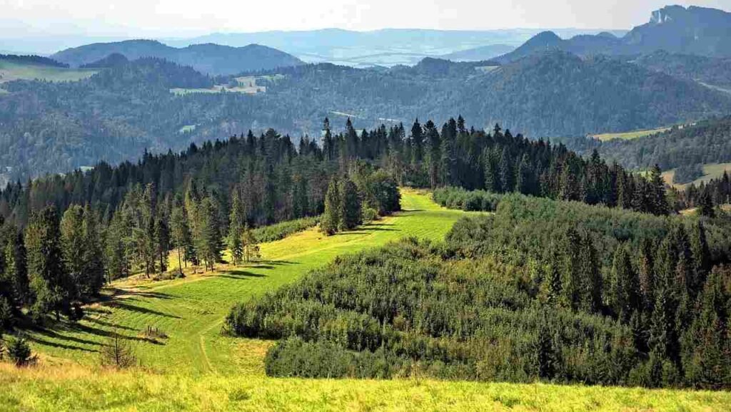 About Top 10 Ways To Protect The Environment As An Individual