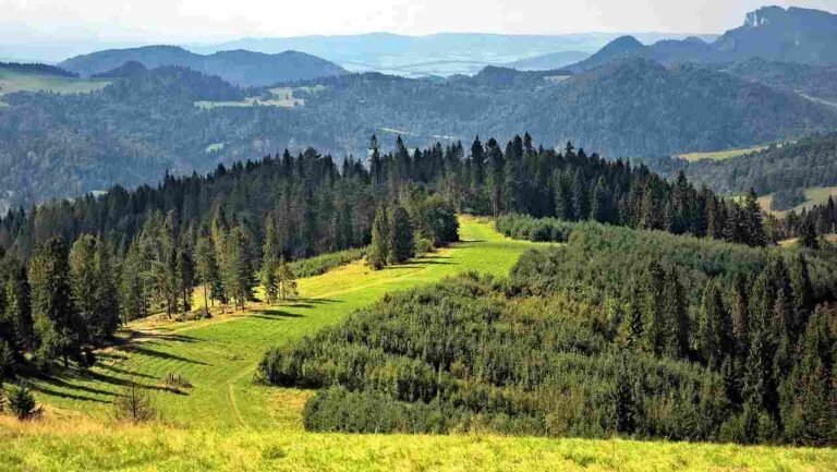 Top 10 Ways To Protect The Environment As An Individual