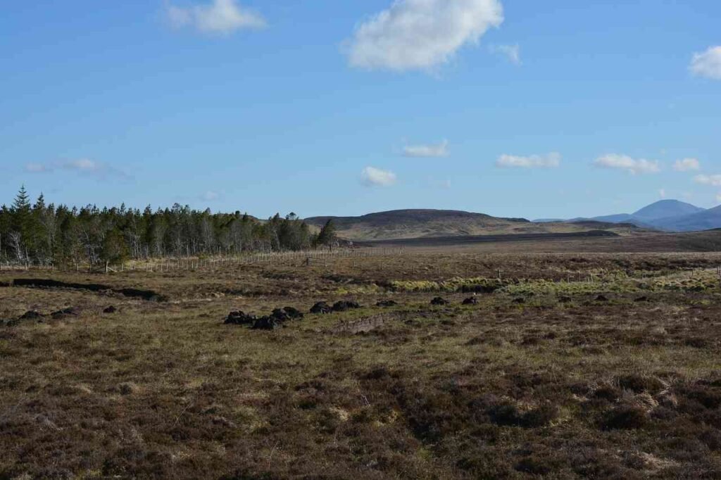 It's Amazing How Peatlands Can Help Us Combat Climate Change? Conclusion On How Peatlands Can Help Us Combat Climate Change?
