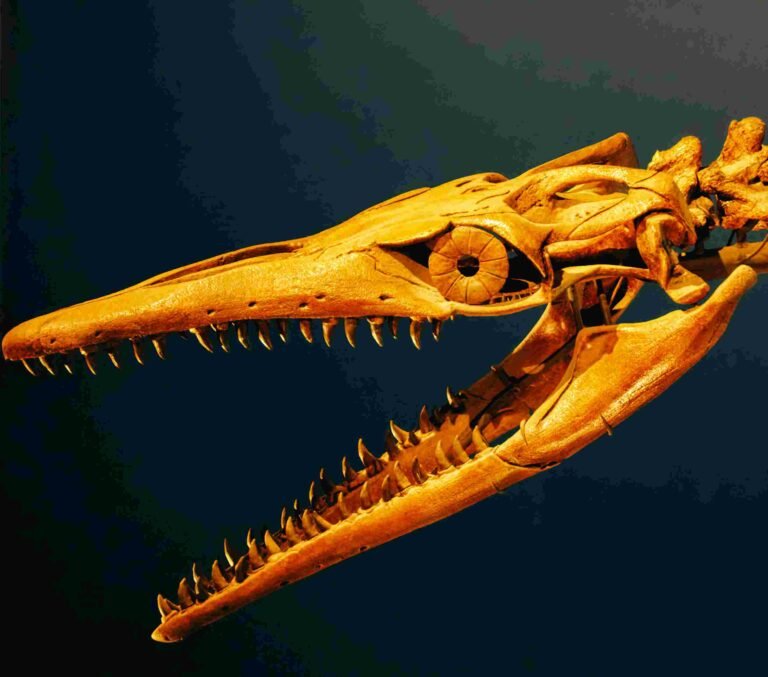 Super Amazing 183 Million Years Old Dinosaur Era Bones Are Found With Skin And Scales Intact