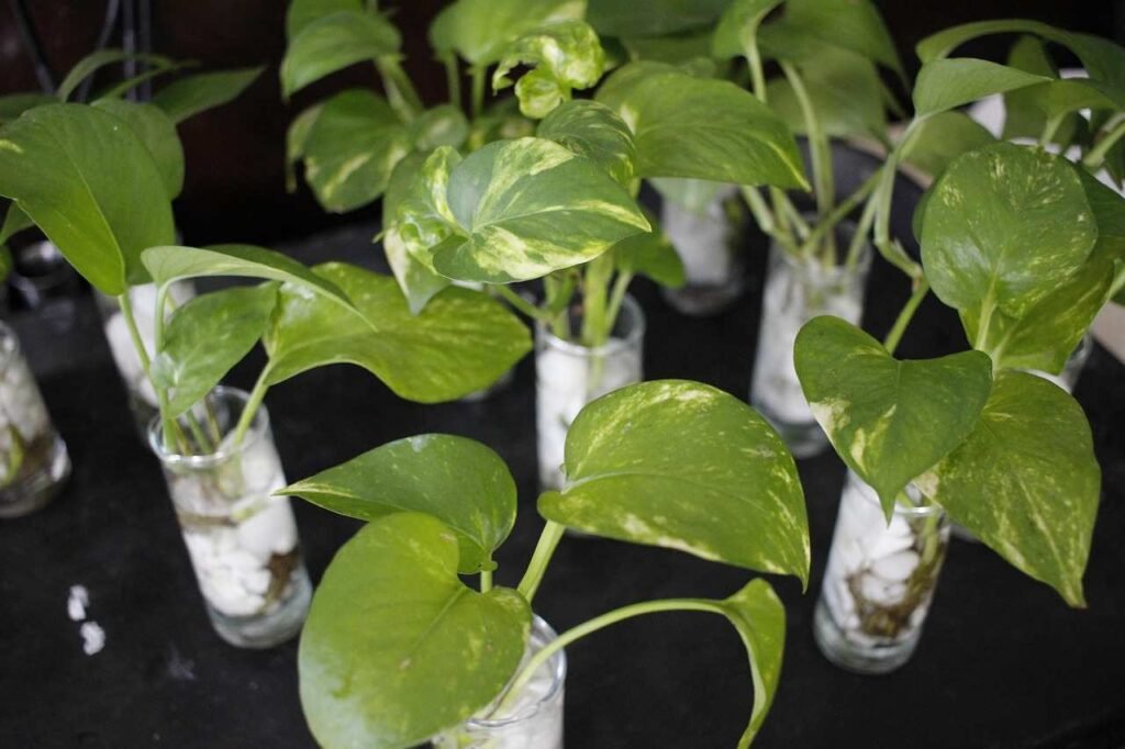 4 Amazing Simple Inventions That Help The Environment