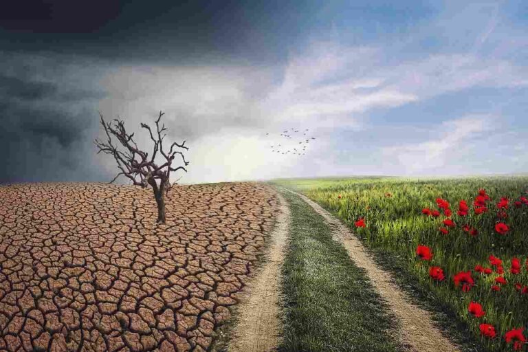 What Is Climate Change In Simple Terms? Why It Is Important?