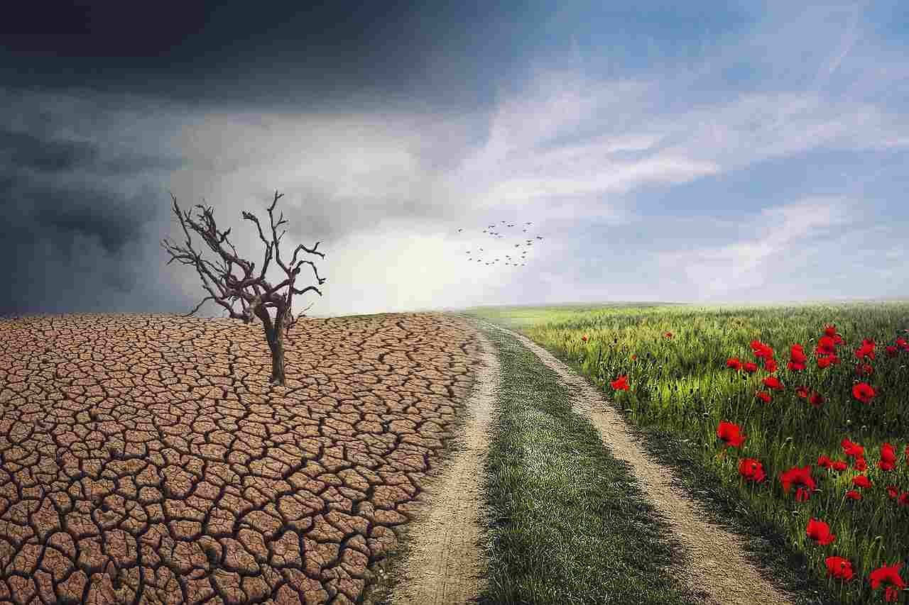 What Is Climate Change In Simple Terms? Why It Is Important?