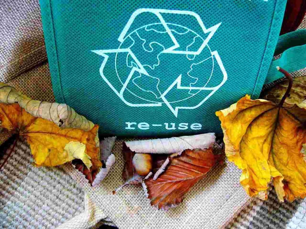 Top 10 Ways To Protect The Environment As An Individual 2. Reuse, Reduce and Recycle