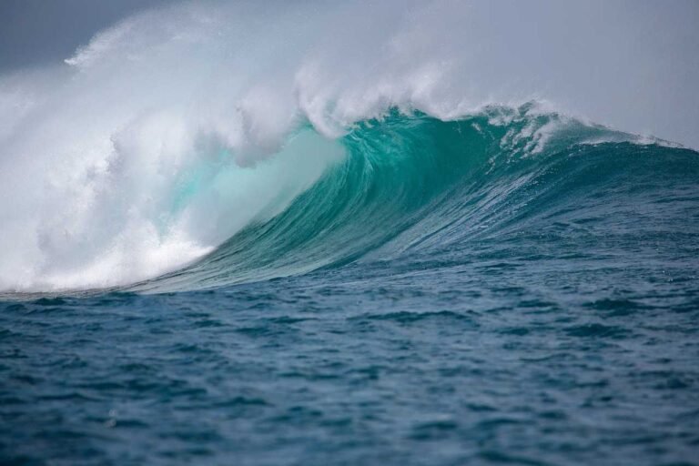 The Easy Guide On Ocean Acidification