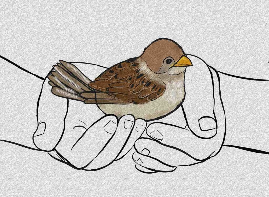 Top 10 Ways To Protect The Environment As An Individual 10. Don't Harm The Animals Around You