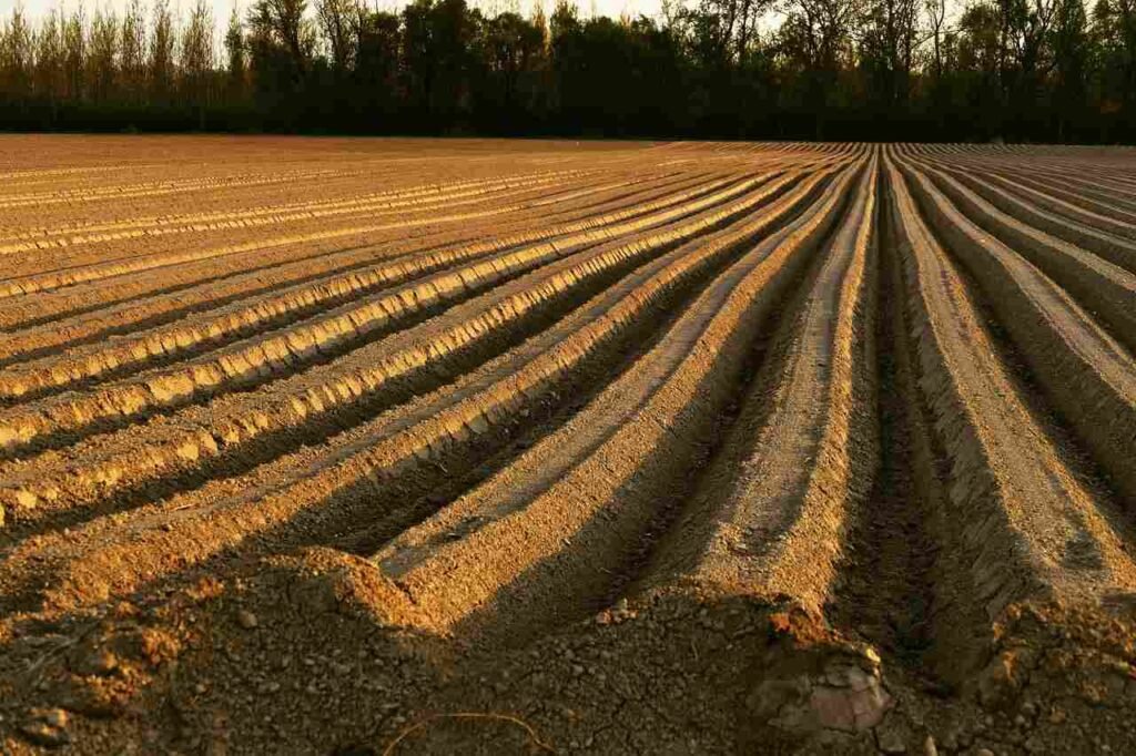 Effects Of Affecting Soil Erosion