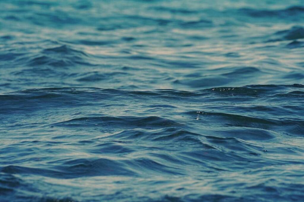 What Is The State Of The Global Ocean?