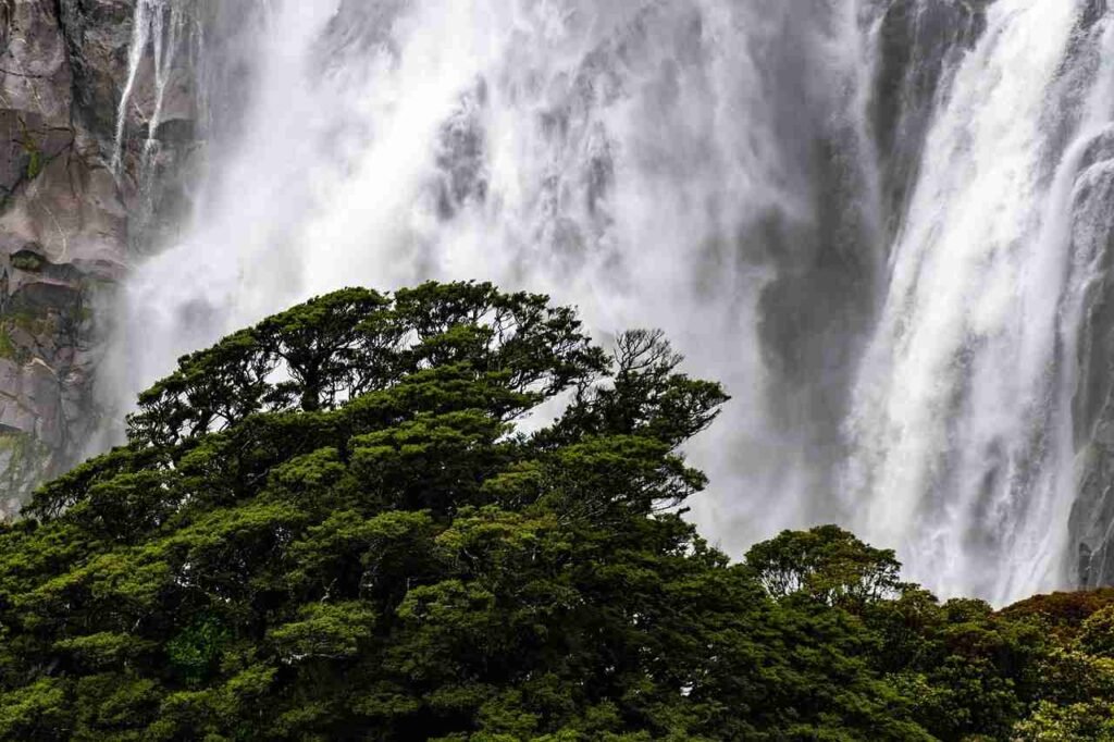 8. To Protect Freshwater & Deal With Water Scarcity