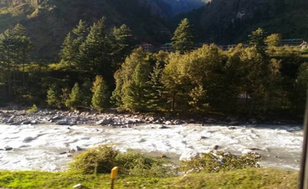 What Steps Can You Take To Contribute For The Planet?