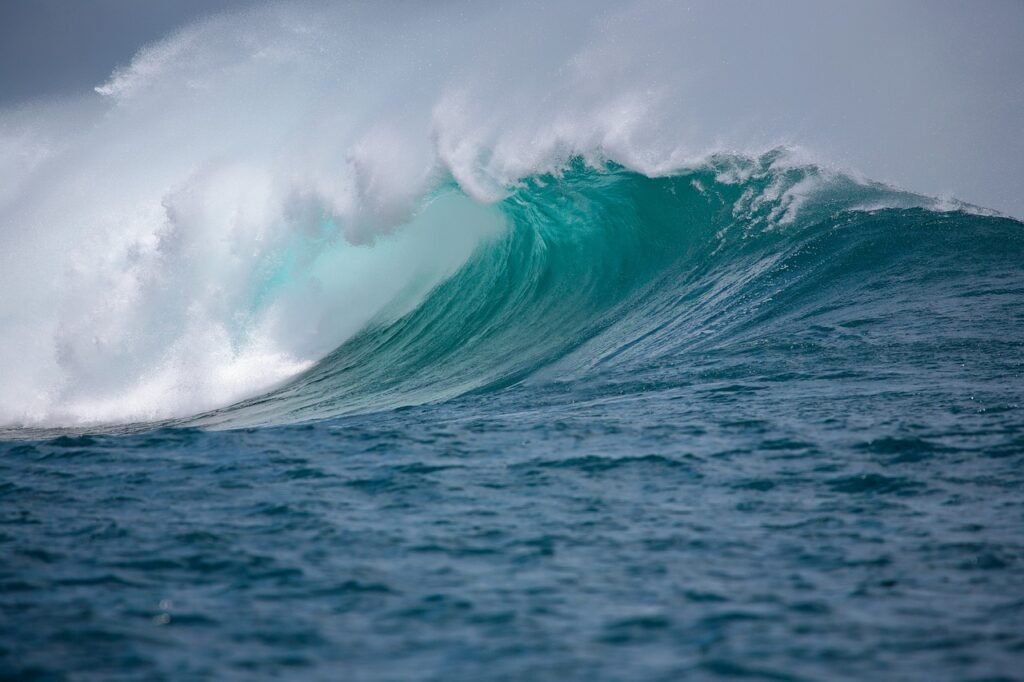 Why Oceans Are Important? Amazing Facts You Must Know What Is an Ocean In Simple Terms?