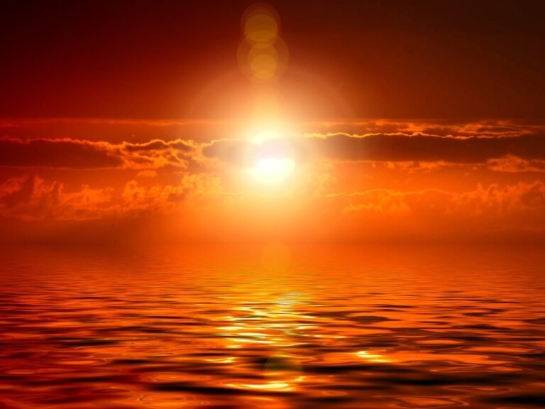 Why Oceans Are Important? Amazing Facts You Must Know