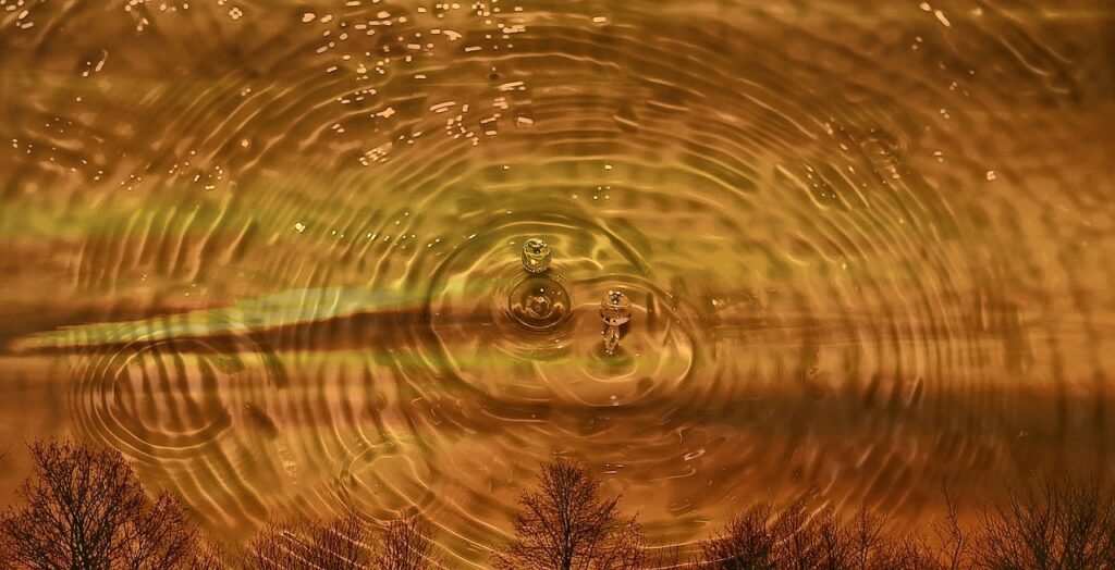 Why Water Is Important?