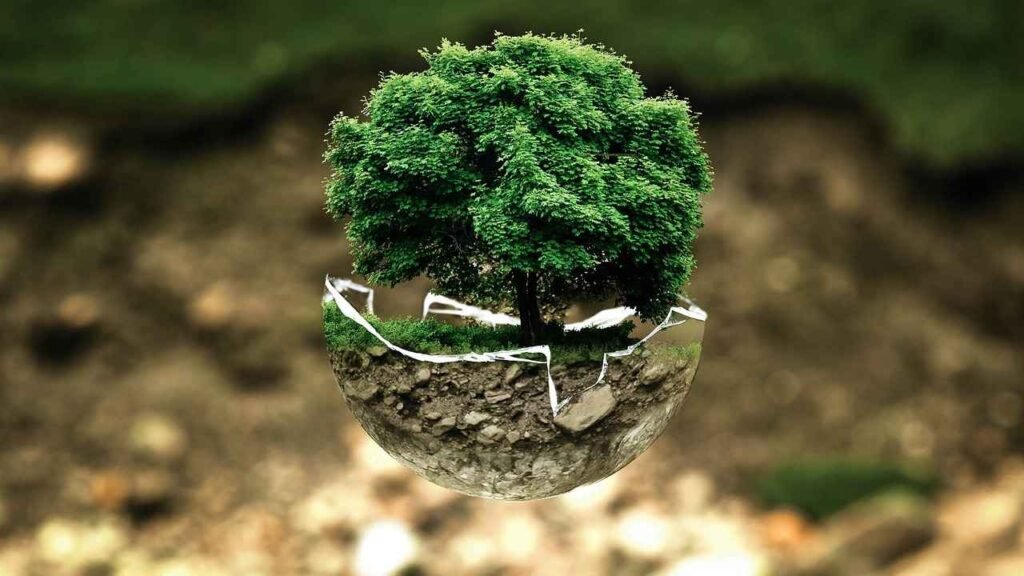 Scope Of Environmental Sciences