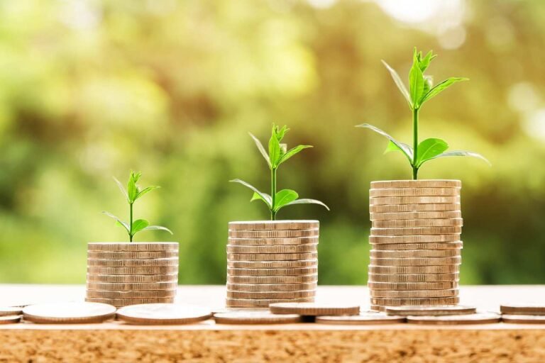 Environmental Economics Easy Guide
