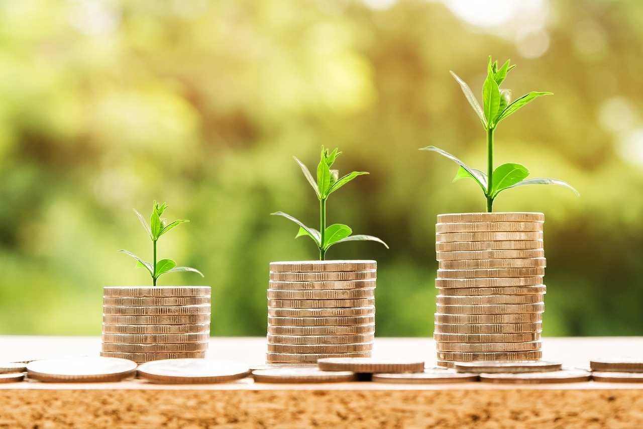 Environmental Economics Easy Guide