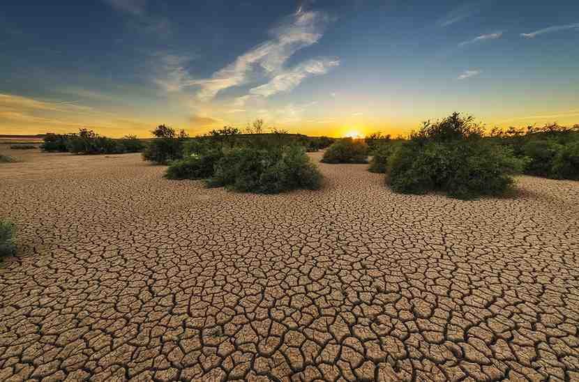 Amazing Soil Conservation Methods What Is The State Of Soil In India?