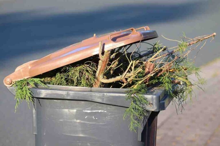 What Is Solid Waste In Simple Terms?