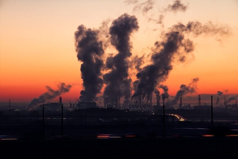 Amazing Causes And Effects Of Pollution