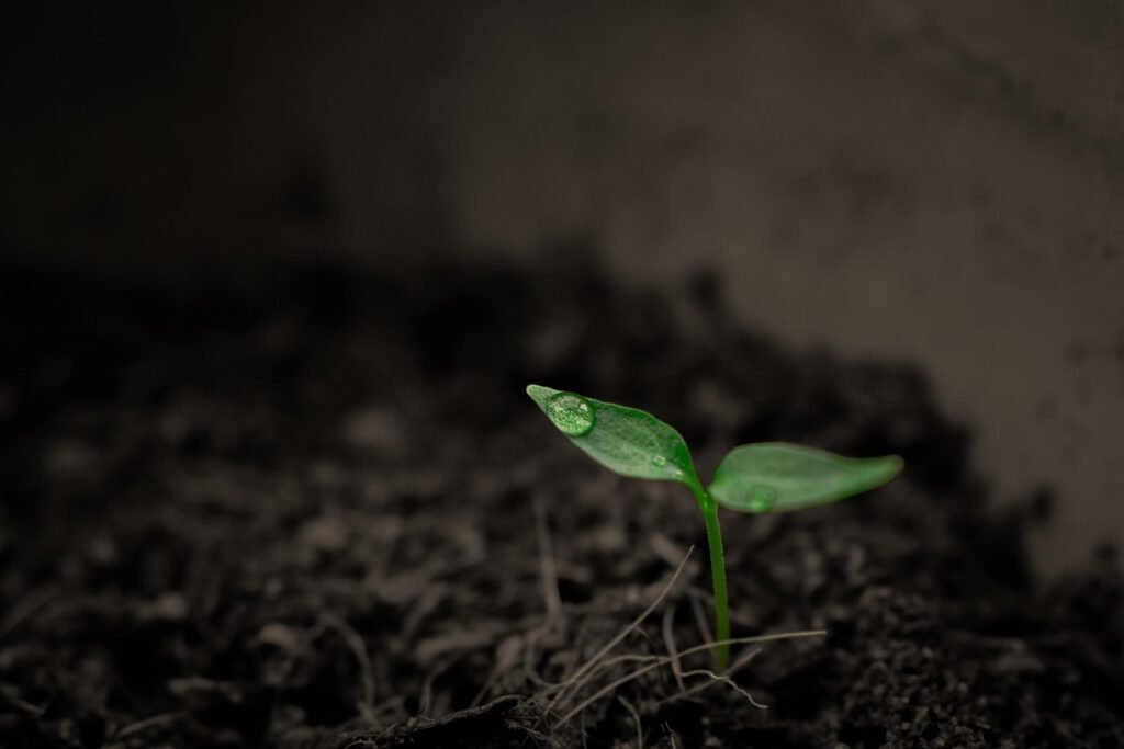 Amazing Soil Conservation Methods Soil Conservation Methods