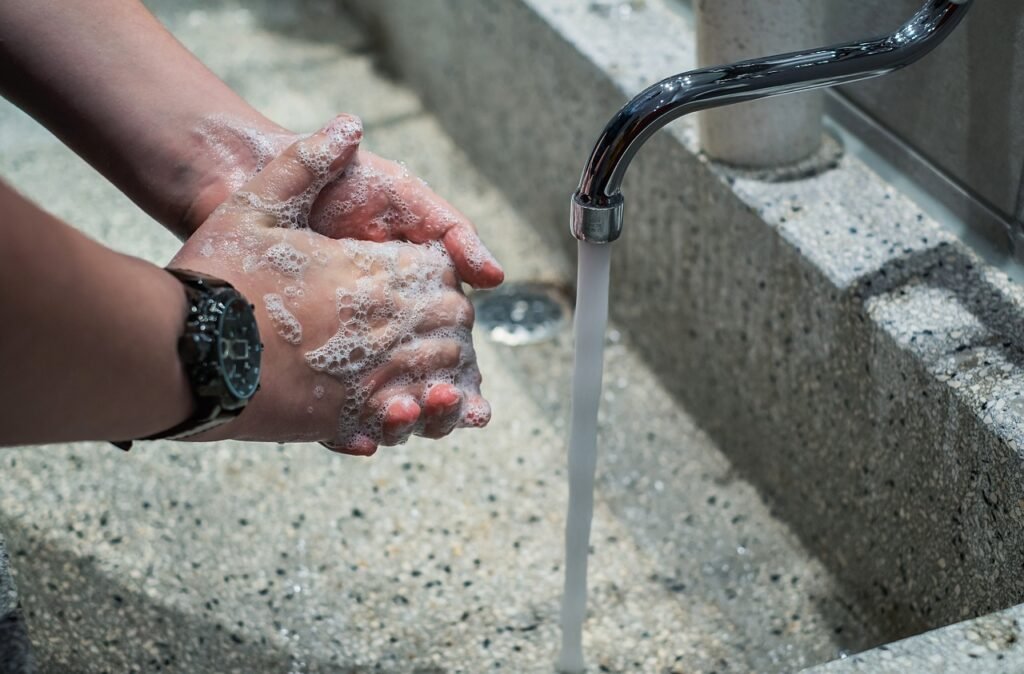 What Is Ecological Sanitation?